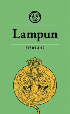 Ruy D'Aleixo Lampun обложка книги