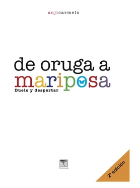 Anji Carmelo De oruga a mariposa. 2ª ed обложка книги