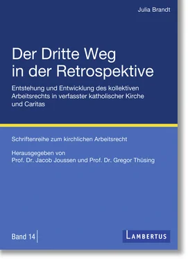 Julia Brandt Der Dritte Weg in der Retrospektive обложка книги