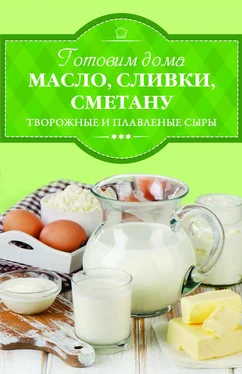 Ирина Веремей Готовим дома масло, сливки, сметану, творожные и плавленые сыры обложка книги