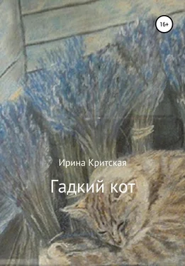 Ирина Критская Гадкий кот обложка книги