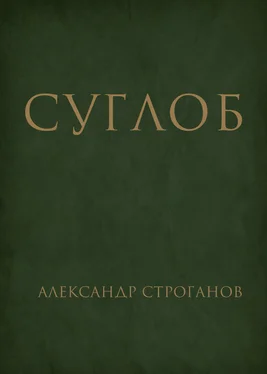 Александр Строганов Суглоб обложка книги