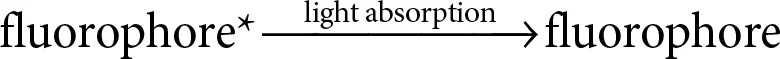 In presence of quencher the excited fluorophore nonradiatively ie without - фото 46