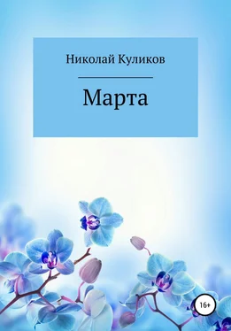 Николай Куликов Марта обложка книги