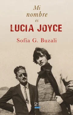 Sofia Buzali Mi nombre es Lucía Joyce обложка книги