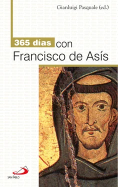 Gianluigi Pascuale 365 días con Francisco de Asís обложка книги