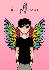 David Pallás Gozalo - El plumas