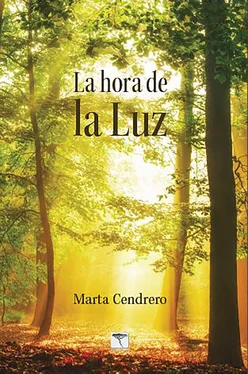 Marta Cendrero Fuentes La hora de la Luz обложка книги
