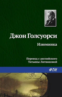 Джон Голсуорси Изюминка обложка книги