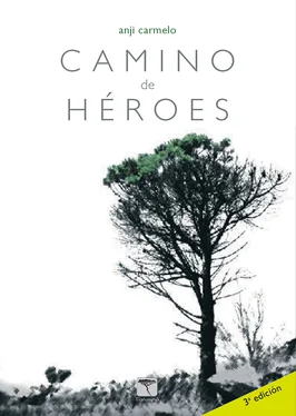 Anji Carmelo Camino de héroes обложка книги