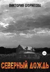 Виктория Шорикова - Северный дождь