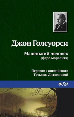 Джон Голсуорси Маленький человек обложка книги