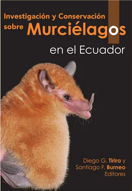 Неизвестный Автор INVESTIGACIÓN Y CONSERVACIÓN SOBRE MURCIÉLAGOS EN EL ECUADOR обложка книги