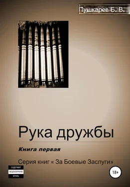 Борис Пушкарев Рука дружбы. Книга первая обложка книги