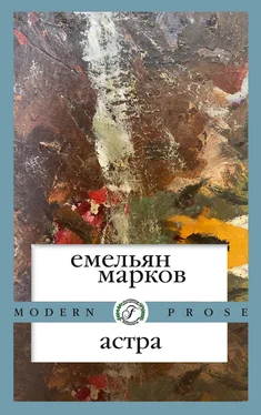 Емельян Марков Астра обложка книги