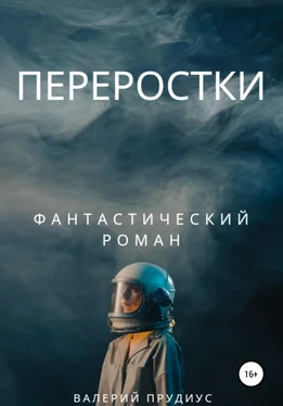 Валерий Прудиус Переростки обложка книги