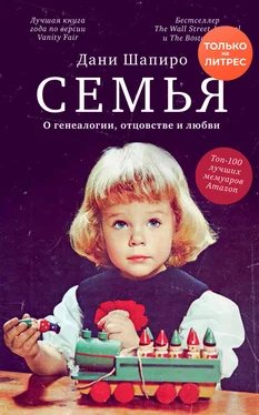 Дани Шапиро Семья. О генеалогии, отцовстве и любви обложка книги