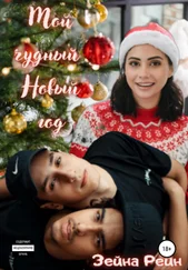Зейна Рейн - Мой чудный Новый год