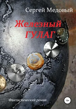 Сергей Медовый Железный Гулаг обложка книги