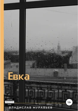 Владислав Муравьёв Евка обложка книги