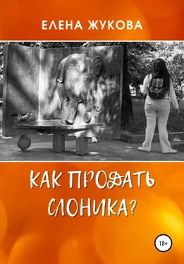 Елена Жукова Как продать слоника? обложка книги