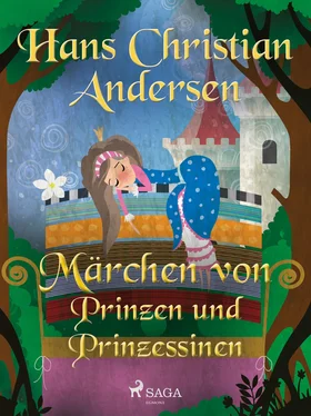 Hans Christian Märchen von Prinzen und Prinzessinnen обложка книги