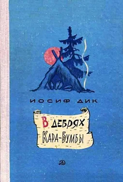 Иосиф Дик В дебрях Кара-Бумбы обложка книги