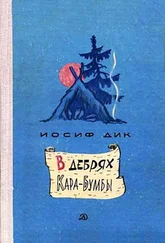 Иосиф Дик - В дебрях Кара-Бумбы