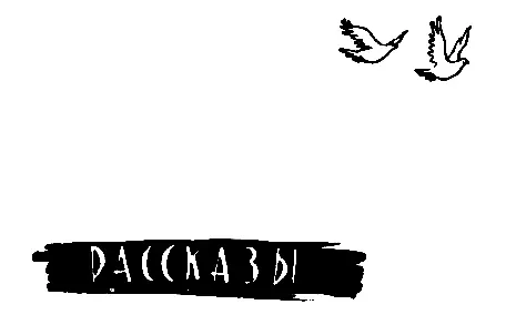 В дебрях КараБумбы - изображение 13