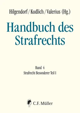 Jörg Eisele Handbuch des Strafrechts обложка книги