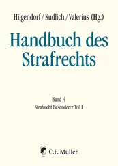 Jörg Eisele - Handbuch des Strafrechts