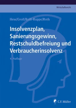 Paul Groß Insolvenzplan, Sanierungsgewinn, Restschuldbefreiung und Verbraucherinsolvenz обложка книги