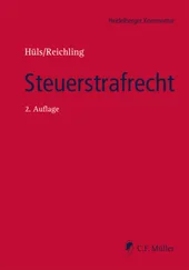 Johannes Corsten - Steuerstrafrecht