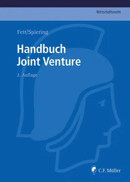 Torsten Fett Handbuch Joint Venture обложка книги