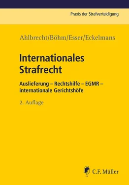 Robert Esser Internationales Strafrecht обложка книги