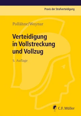 Bernd Volckart Verteidigung in Vollstreckung und Vollzug обложка книги