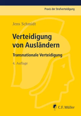 Jens Schmidt Verteidigung von Ausländern обложка книги