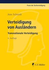 Jens Schmidt - Verteidigung von Ausländern