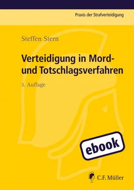 Steffen Stern Verteidigung in Mord- und Totschlagsverfahren обложка книги