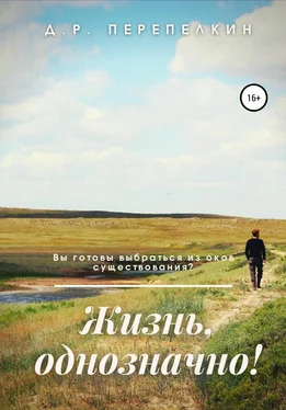 Денис Перепелкин Жизнь, однозначно! обложка книги