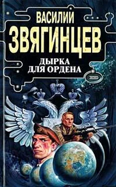 Василий Звягинцев Дырка для ордена обложка книги