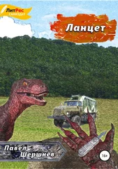 Павел Шершнёв - Ланцет