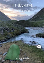 Никита Алтаев - На Шумаке