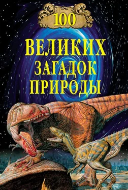 Николай Непомнящий 100 великих загадок природы обложка книги