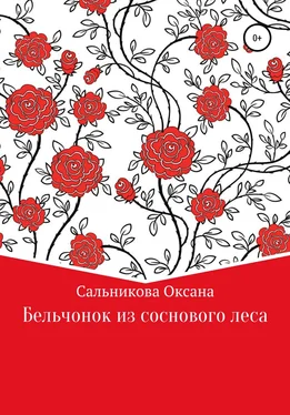 Оксана Сальникова Бельчонок из соснового леса обложка книги