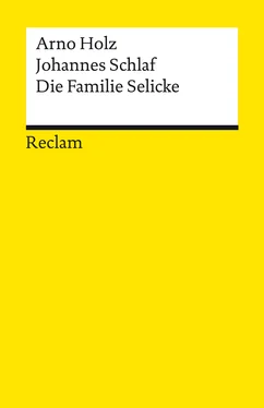 Johannes Schlaf Die Familie Selicke. Drama in drei Aufzügen обложка книги
