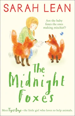 Sarah Lean The Midnight Foxes обложка книги