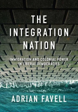 Adrian Favell The Integration Nation обложка книги