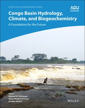 Неизвестный Автор Congo Basin Hydrology, Climate, and Biogeochemistry обложка книги