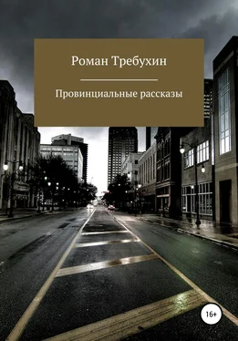 Роман Требухин Провинциальные рассказы обложка книги